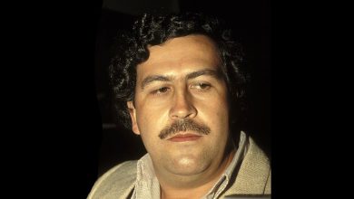 Was "Licence to Kill" Inspired by Pablo Escobar's Story?