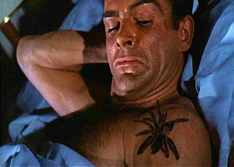 Tarantulas spider scene in "Dr No"